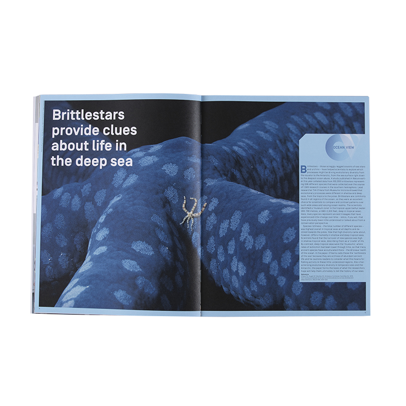 Save Our Seas Magazine Issue 10 - Help Save Our Seas